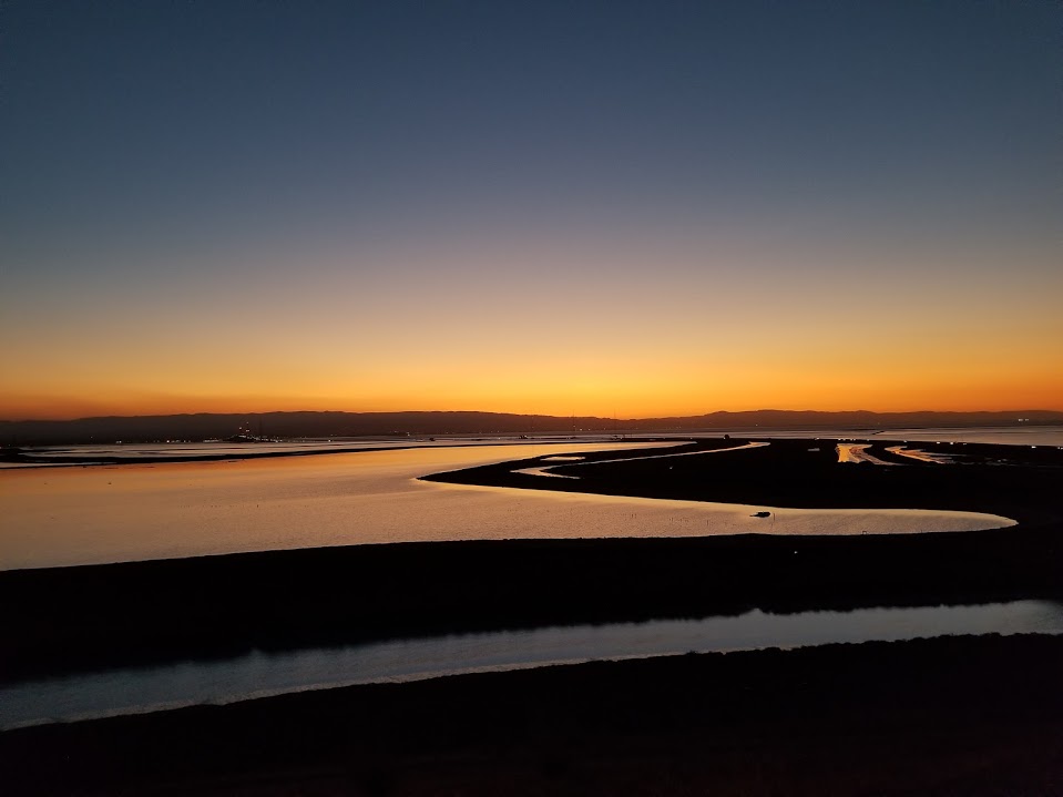 Don Edwards Wildlife Refuge