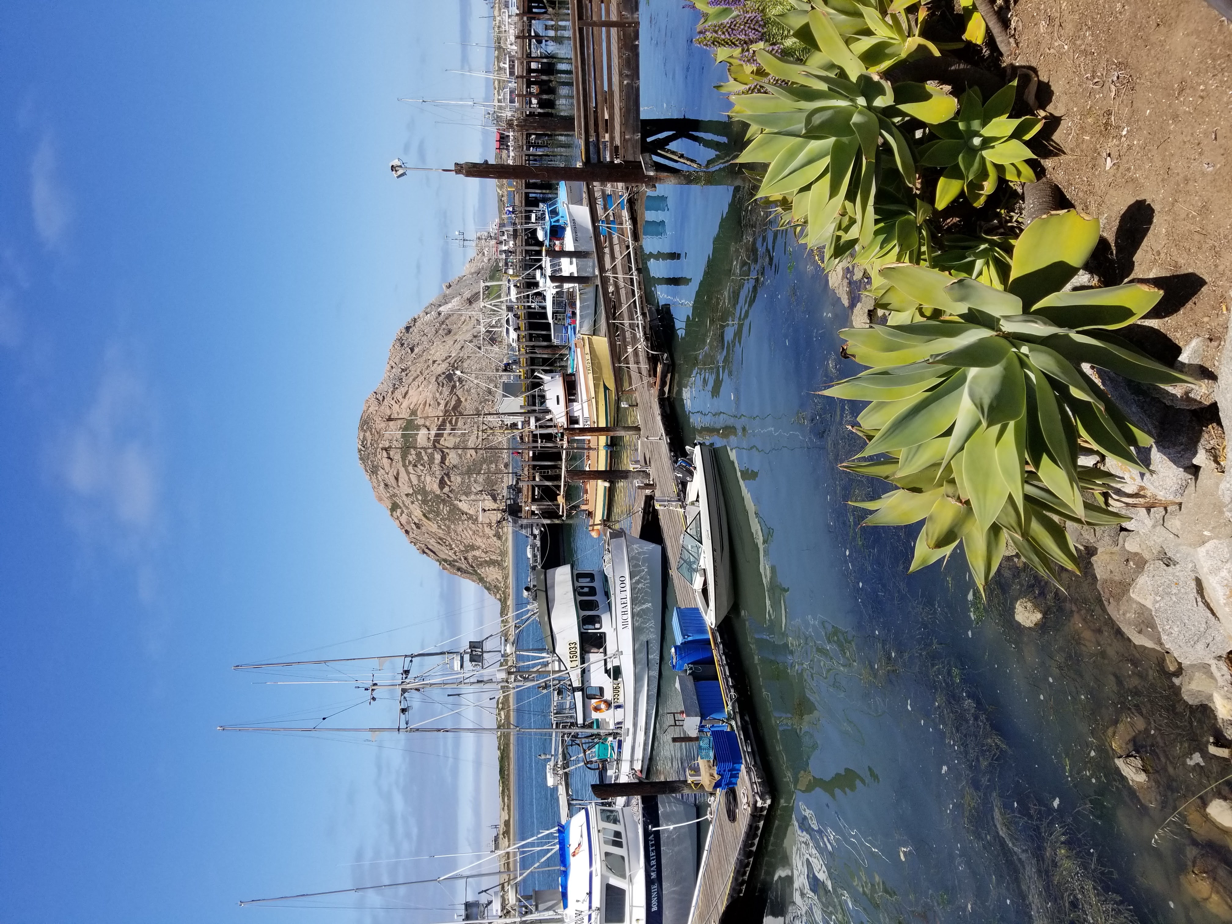 Morro Bay