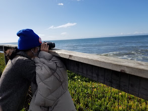 Natural Bridges