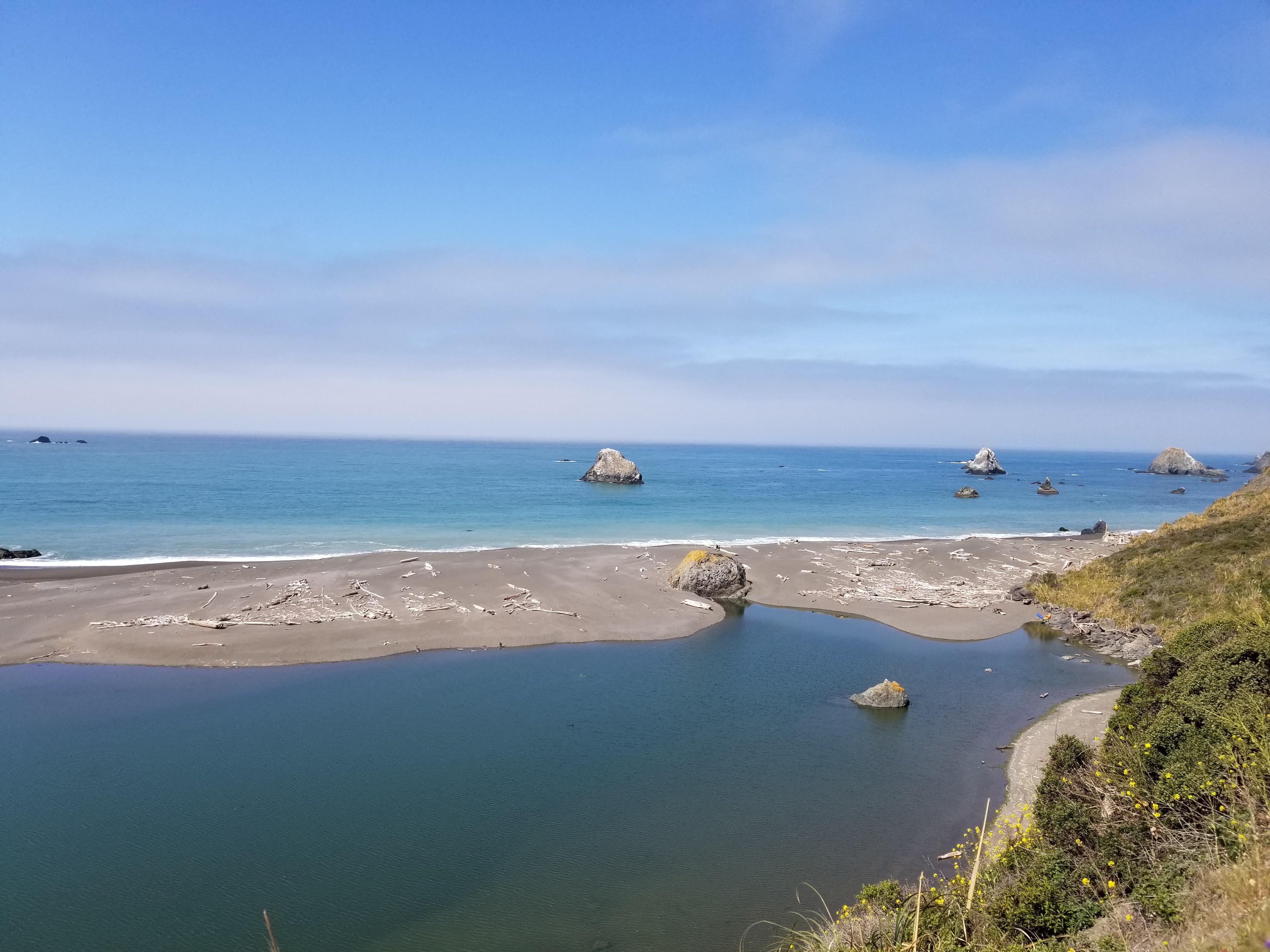 Sonoma Coast State Park